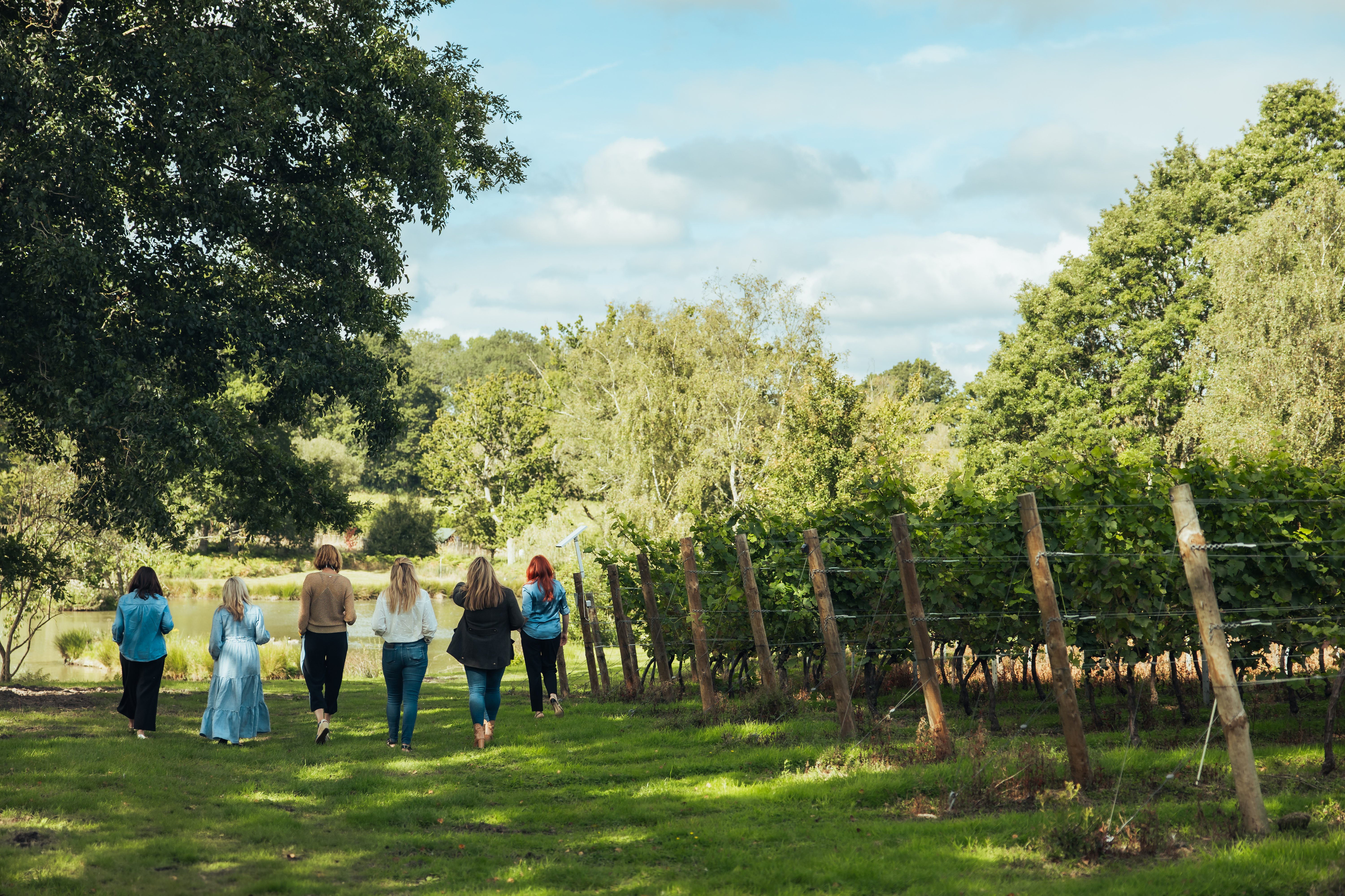 BIRCHDEN VINEYARDS