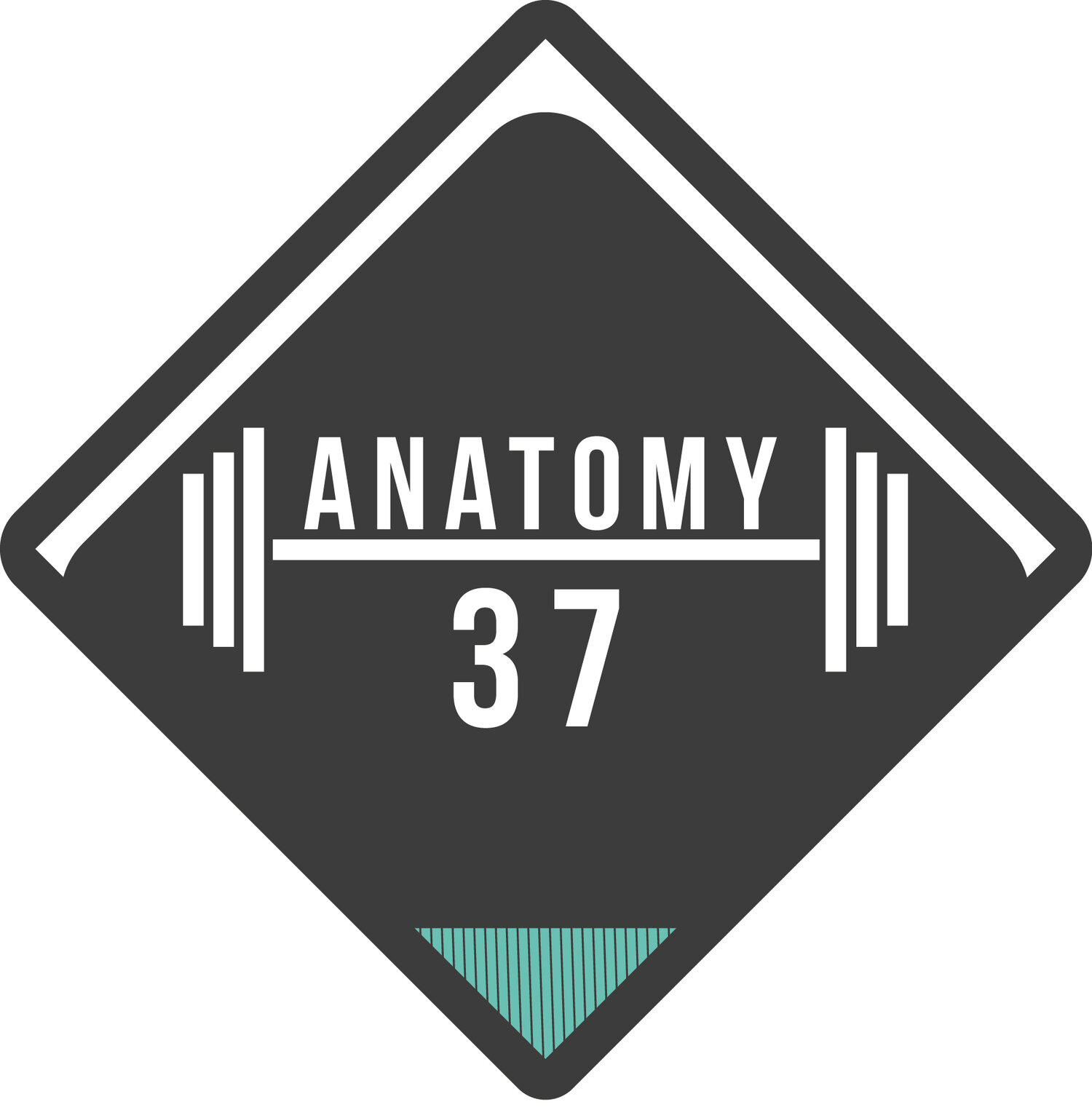 ANATOMY 37 logo