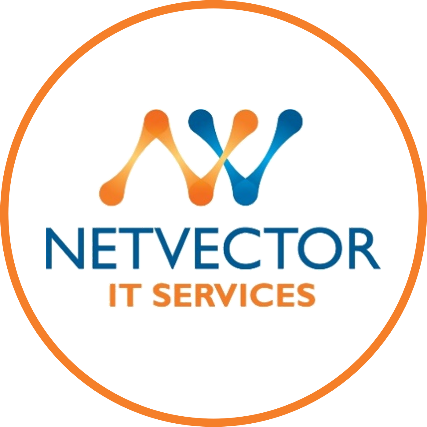 NETVECTOR IT SERVICES logo